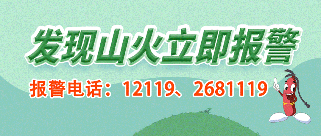 亚军球队的训练方案如何帮助你快速提升篮球技能_0